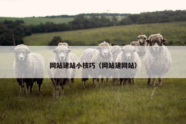 网站建站小技巧（网站建网站）