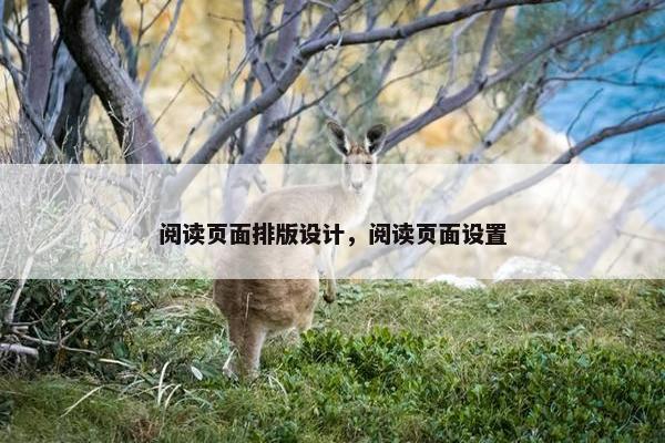 阅读页面排版设计，阅读页面设置