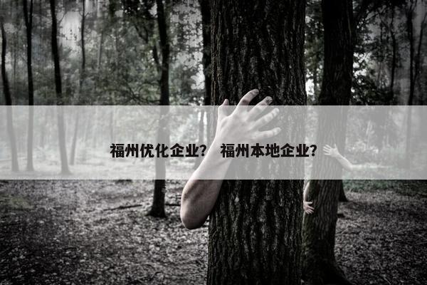 福州优化企业？ 福州本地企业？
