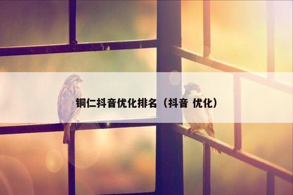 铜仁抖音优化排名（抖音 优化）