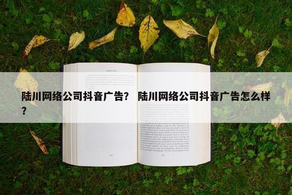 陆川网络公司抖音广告？ 陆川网络公司抖音广告怎么样？