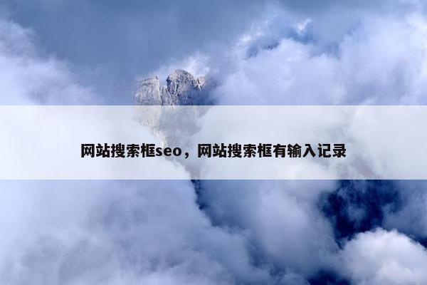 网站搜索框seo，网站搜索框有输入记录