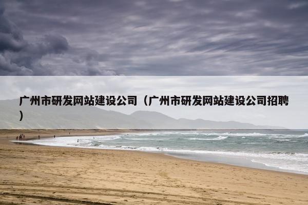 广州市研发网站建设公司（广州市研发网站建设公司招聘）