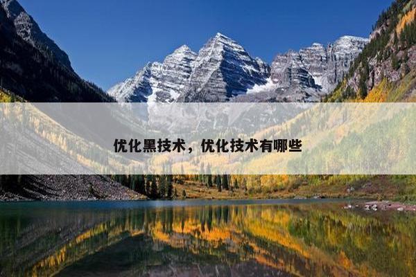 优化黑技术，优化技术有哪些