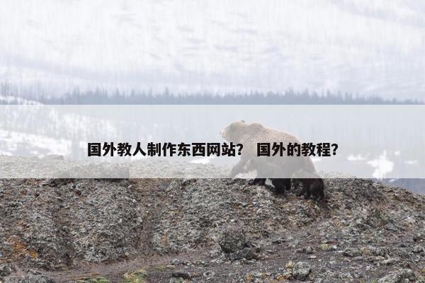 国外教人制作东西网站？ 国外的教程？