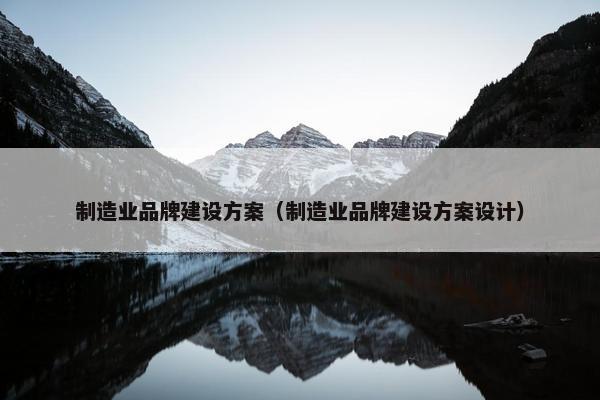 制造业品牌建设方案（制造业品牌建设方案设计）