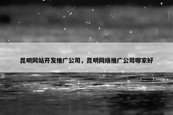 昆明网站开发推广公司，昆明网络推广公司哪家好