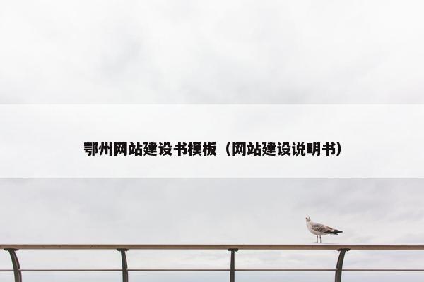 鄂州网站建设书模板（网站建设说明书）