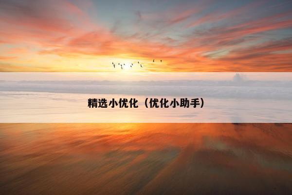 精选小优化（优化小助手）