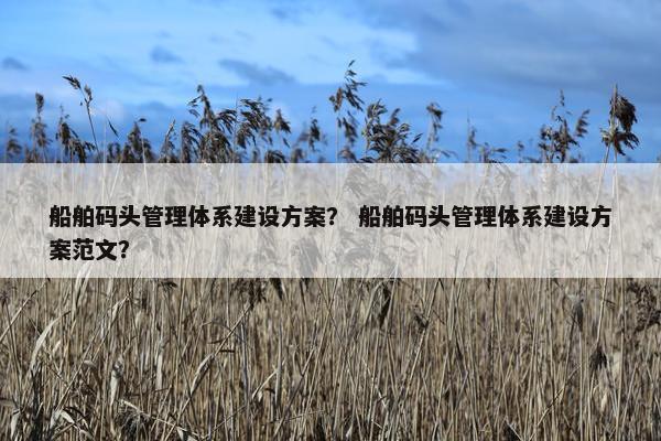 船舶码头管理体系建设方案？ 船舶码头管理体系建设方案范文？