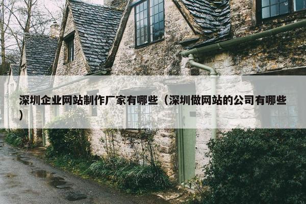 深圳企业网站制作厂家有哪些（深圳做网站的公司有哪些）