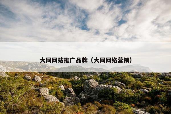 大同网站推广品牌（大同网络营销）
