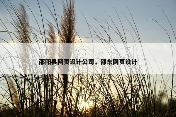 邵阳县网页设计公司，邵东网页设计