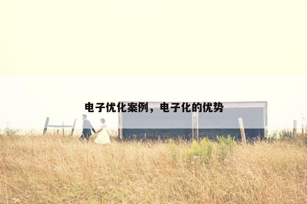 电子优化案例，电子化的优势