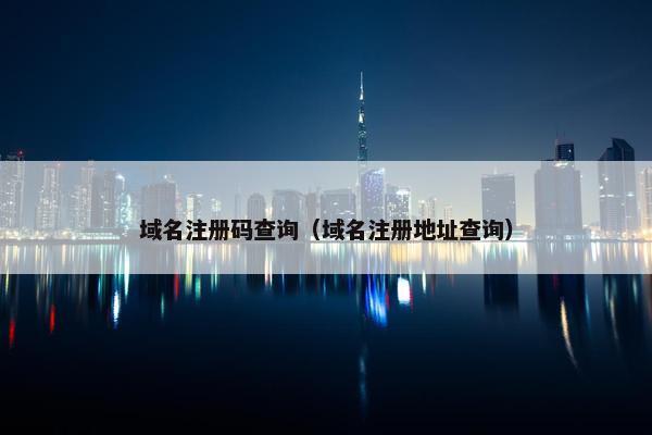 域名注册码查询（域名注册地址查询）