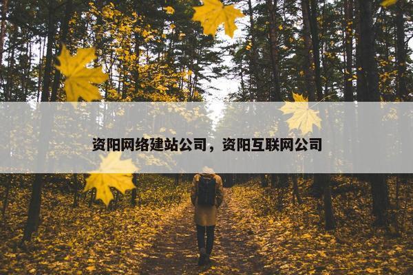资阳网络建站公司，资阳互联网公司