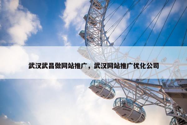 武汉武昌做网站推广，武汉网站推广优化公司