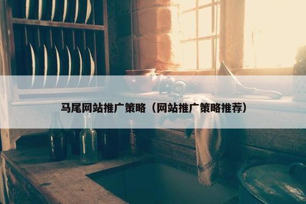 马尾网站推广策略（网站推广策略推荐）