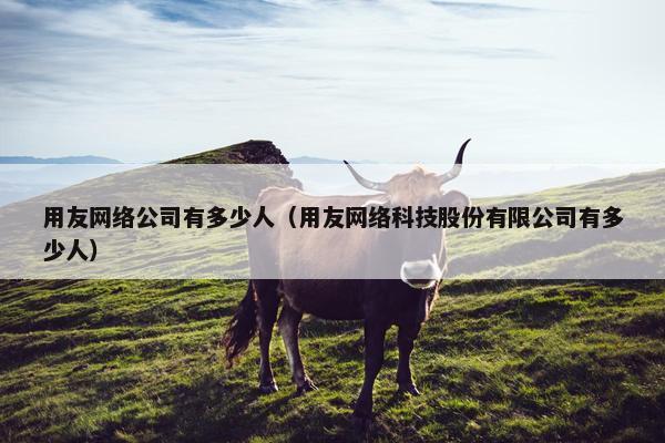 用友网络公司有多少人（用友网络科技股份有限公司有多少人）