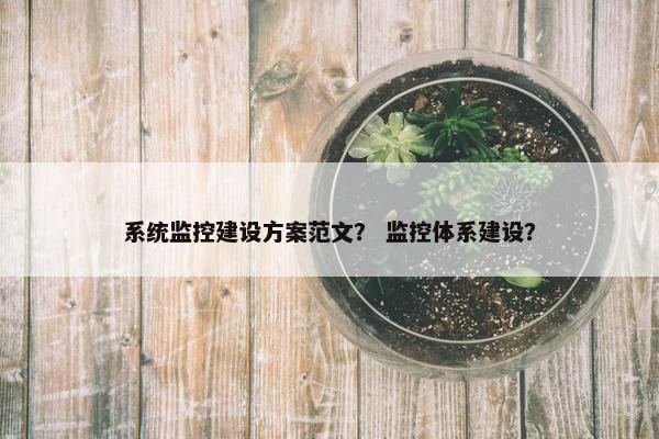 系统监控建设方案范文？ 监控体系建设？