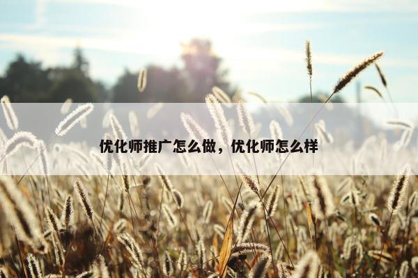 优化师推广怎么做，优化师怎么样