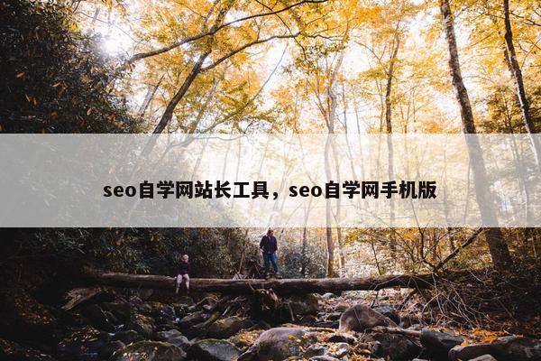 seo自学网站长工具，seo自学网手机版
