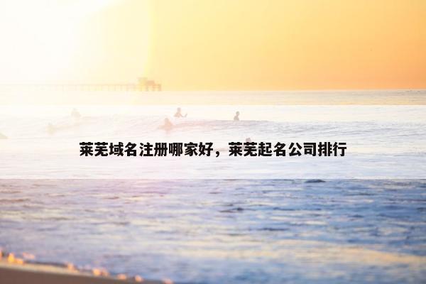 莱芜域名注册哪家好，莱芜起名公司排行