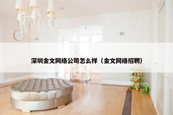 深圳金文网络公司怎么样（金文网络招聘）