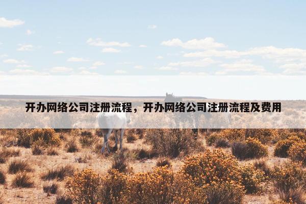开办网络公司注册流程，开办网络公司注册流程及费用