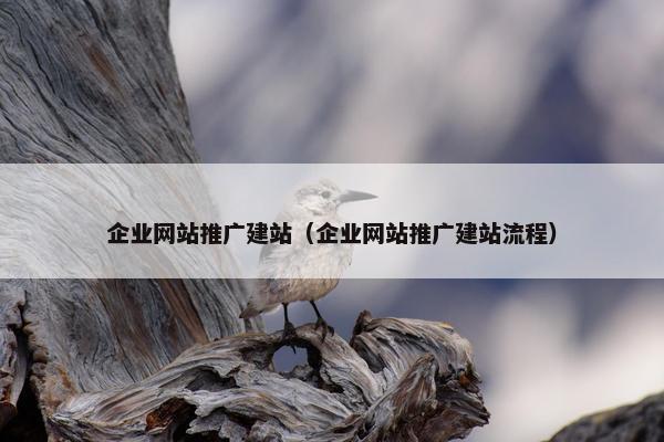 企业网站推广建站（企业网站推广建站流程）