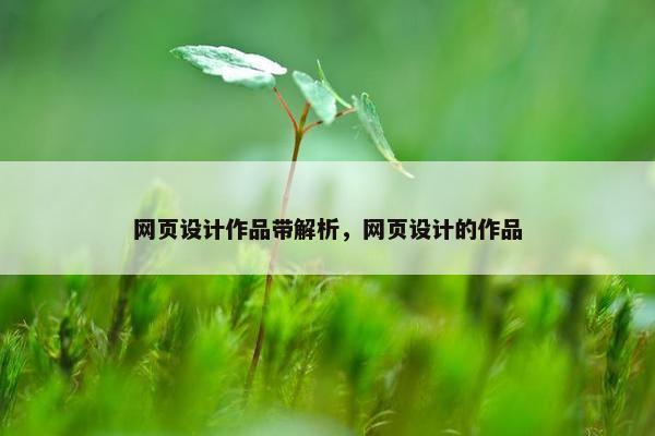 网页设计作品带解析，网页设计的作品