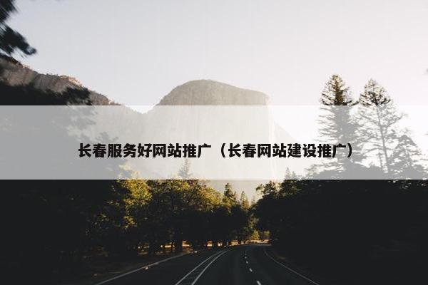 长春服务好网站推广（长春网站建设推广）