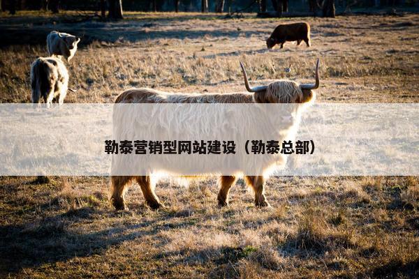 勒泰营销型网站建设（勒泰总部）