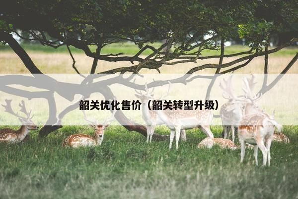 韶关优化售价（韶关转型升级）