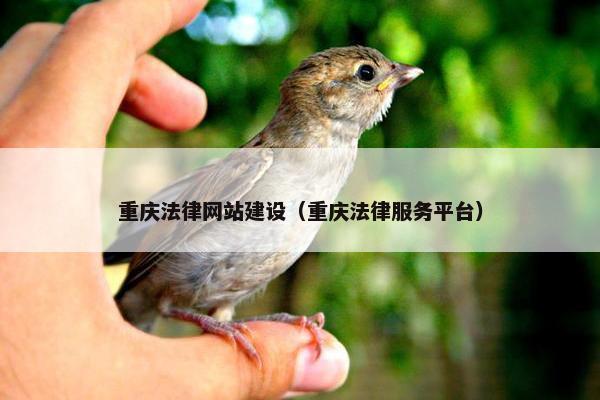 重庆法律网站建设（重庆法律服务平台）