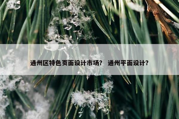 通州区特色页面设计市场？ 通州平面设计？