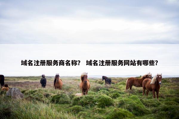 域名注册服务商名称？ 域名注册服务网站有哪些？