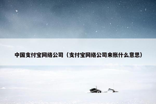 中国支付宝网络公司（支付宝网络公司来账什么意思）