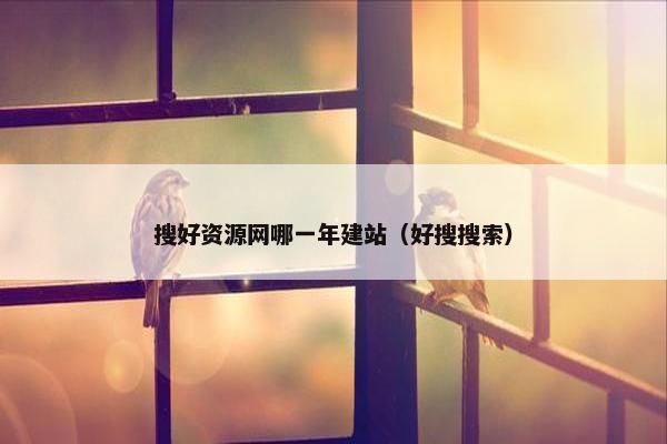 搜好资源网哪一年建站（好搜搜索）