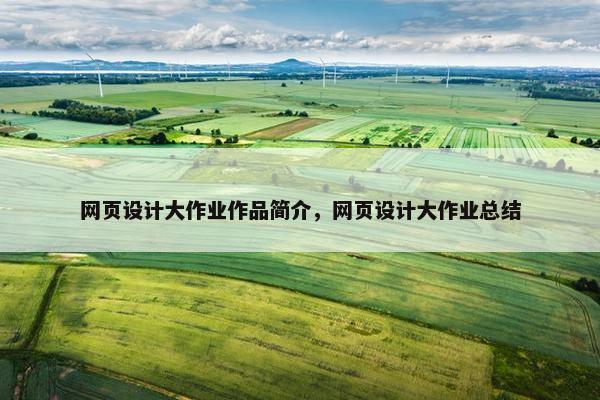 网页设计大作业作品简介，网页设计大作业总结