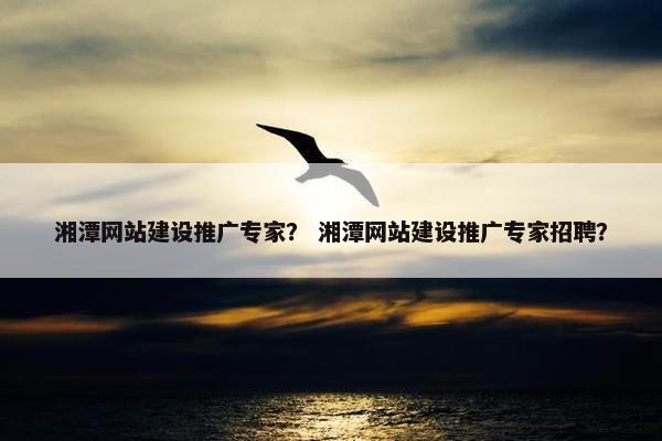 湘潭网站建设推广专家？ 湘潭网站建设推广专家招聘？