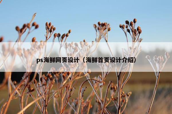 ps海鲜网页设计（海鲜首页设计介绍）
