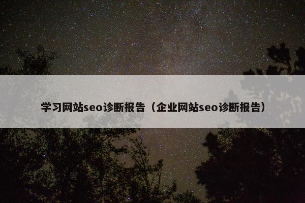 学习网站seo诊断报告（企业网站seo诊断报告）