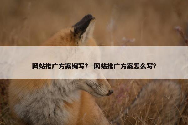 网站推广方案编写？ 网站推广方案怎么写？