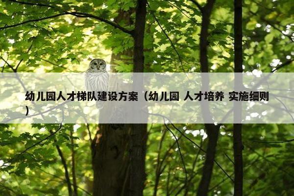 幼儿园人才梯队建设方案（幼儿园 人才培养 实施细则）