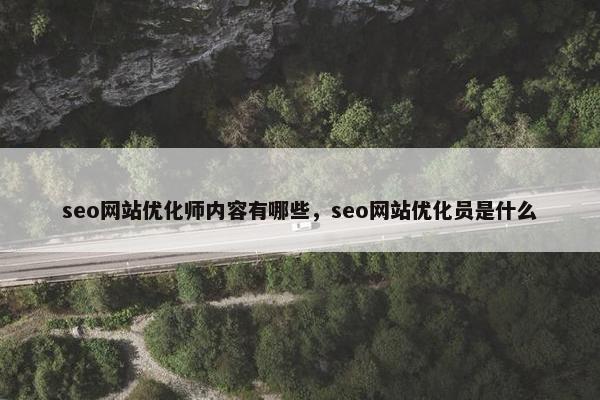 seo网站优化师内容有哪些，seo网站优化员是什么