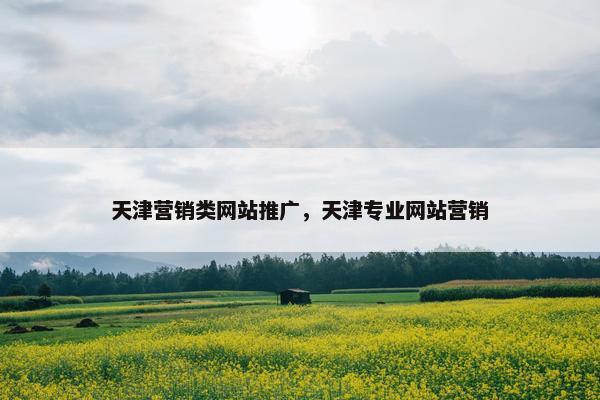 天津营销类网站推广，天津专业网站营销