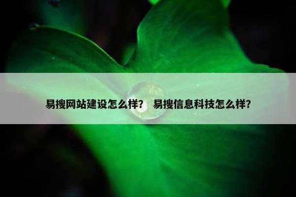 易搜网站建设怎么样？ 易搜信息科技怎么样？