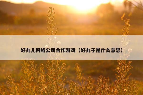 好丸儿网络公司合作游戏（好丸子是什么意思）