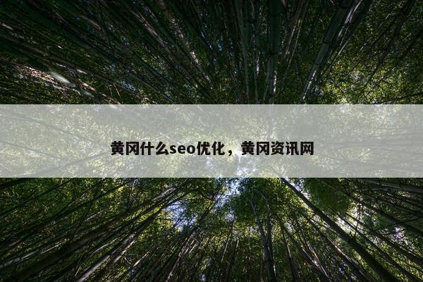 黄冈什么seo优化，黄冈资讯网